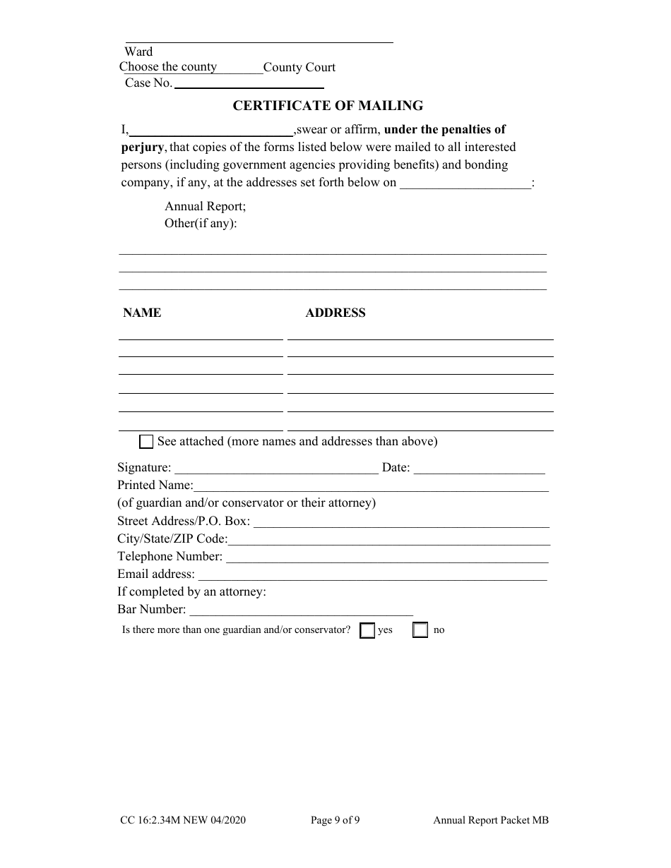 Form CC16:2.34M Packet Mb - Guardianship and / or Conservator for a Minor With Budget Annual Report - Nebraska, Page 11