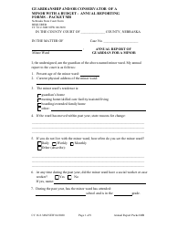 Form CC16:2.34M Packet Mb - Guardianship and/or Conservator for a Minor With Budget Annual Report - Nebraska, Page 3