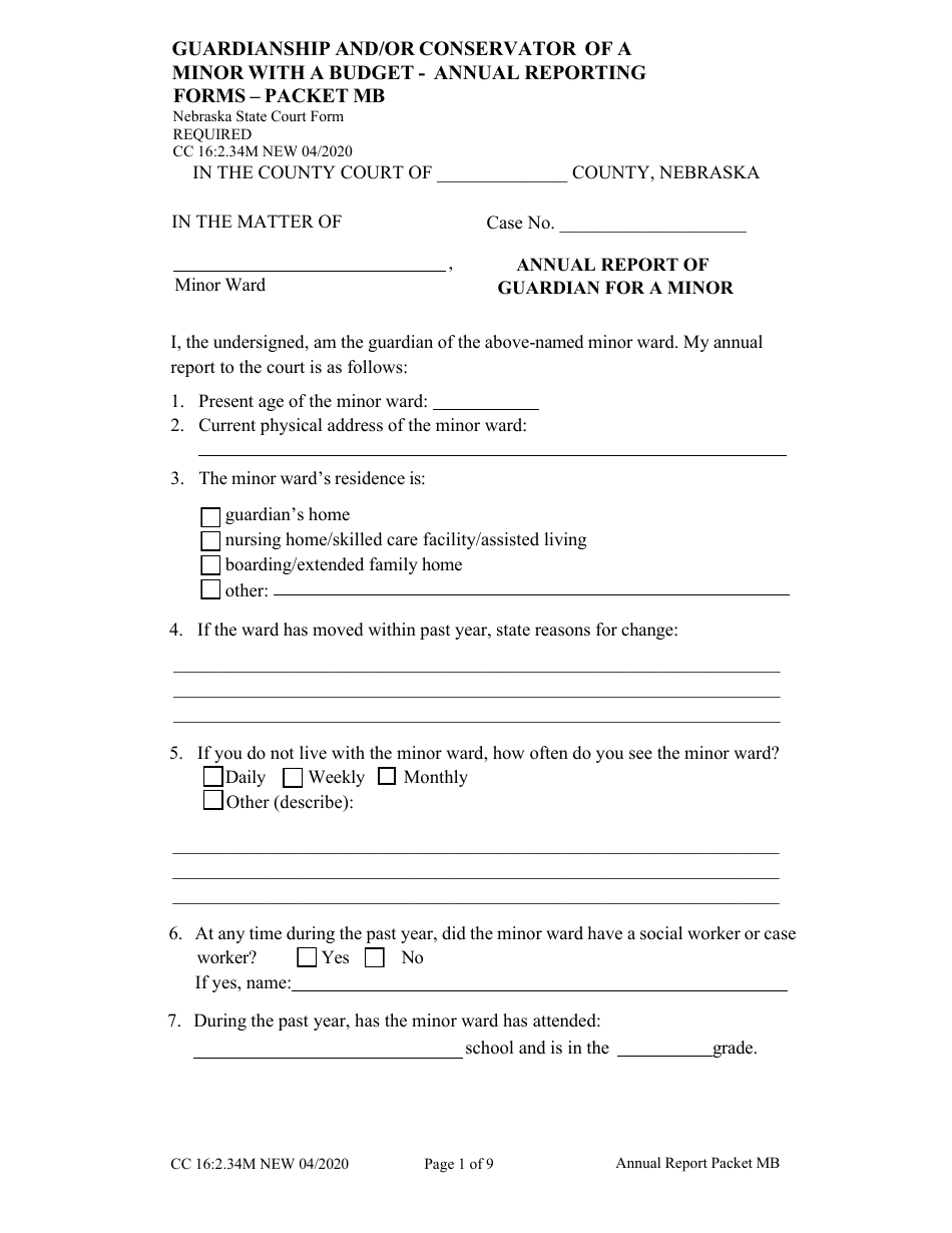 Form CC16:2.34M Packet Mb - Guardianship and / or Conservator for a Minor With Budget Annual Report - Nebraska, Page 3