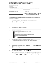 Form CC16:2.34 Packet B - Guardianship and/or Conservatorship With Budget Annual Report - Nebraska, Page 3