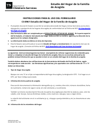 Formulario CS-0961 Estudio Del Hogar De La Familia De Acogida - Tennessee (Spanish), Page 6