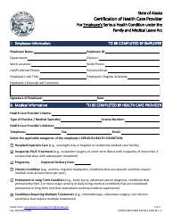 Document preview: DOPLR AM Form 550 Certification of Health Care Provider for Employee's Serious Health Condition Under the Family and Medical Leave Act - Alaska