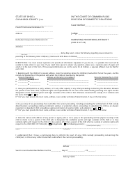 Application for Parental Rights &amp; Responsibilities - Cuyahoga County, Ohio, Page 10