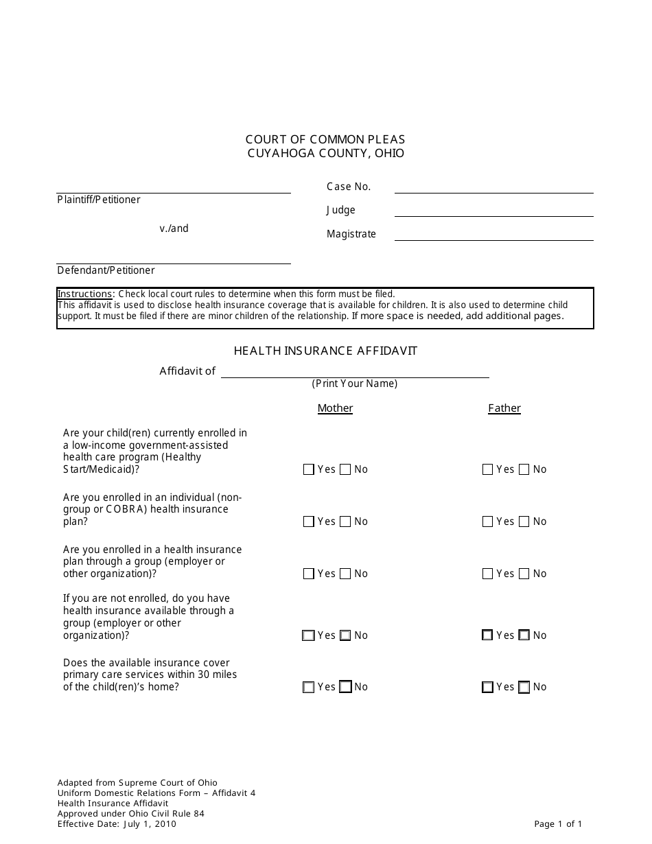 Application for Parental Rights  Responsibilities - Cuyahoga County, Ohio, Page 15