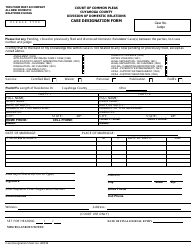 Application for Parental Rights &amp; Responsibilities - Cuyahoga County, Ohio, Page 2