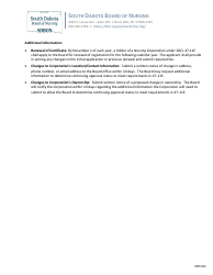 Application for Initial Registration - Nursing Corporation - South Dakota, Page 2