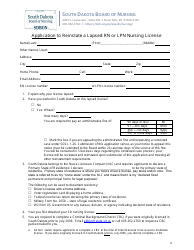 Application to Reinstate a Lapsed Rn or Lpn Nursing License - South Dakota, Page 2