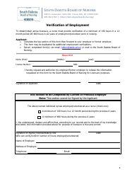 Application to Reinstate a Lapsed Rn or Lpn Nursing License - South Dakota, Page 6