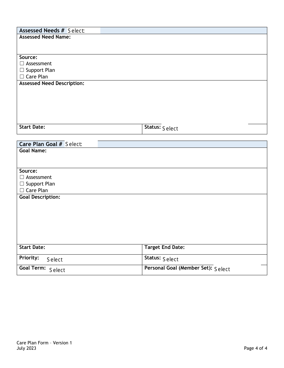 Care Plan Form - Colorado, Page 4
