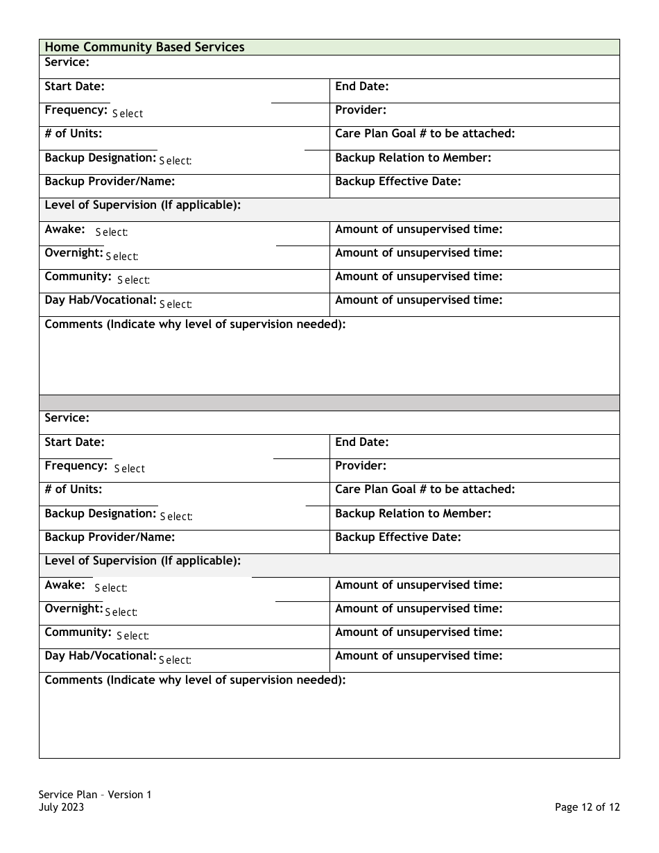 Service Plan Card / Assessment / Support Plans: Service Plan Form - Colorado, Page 12