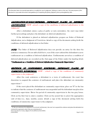 Instructions for Felony Judgment Forms - Texas, Page 11