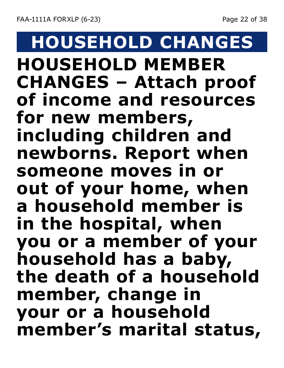 Form FAA-1111A-XLP Participant Statement Verification Worksheet (Extra Large Print) - Arizona, Page 22