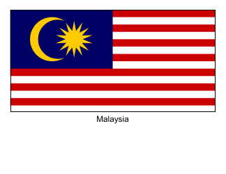 Document preview: Malaysia Flag Template