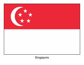 Document preview: Singapore Flag Template