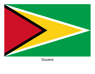 Document preview: Guyana Flag Template