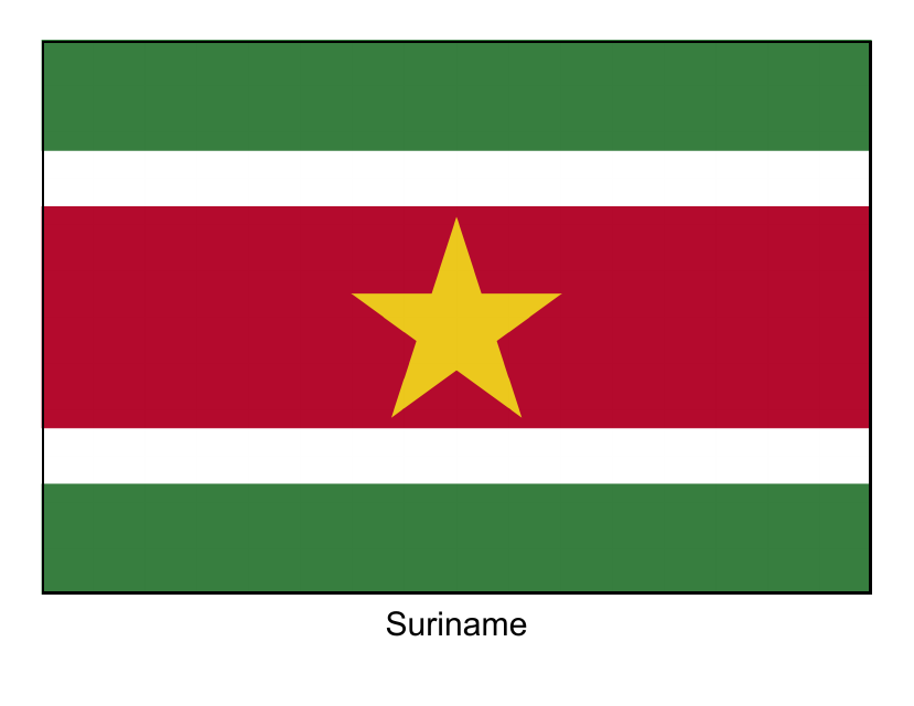Suriname Flag Template - Preview