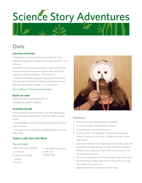 Barn Owl Mask Template preview