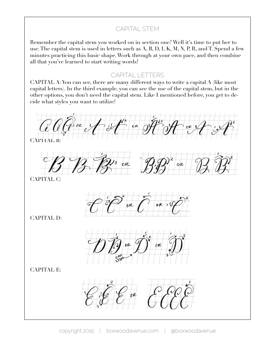 Calligraphy Workshop - Boxwoodavenue, Page 14