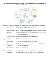 Mitosis Flip Book Template, Page 3