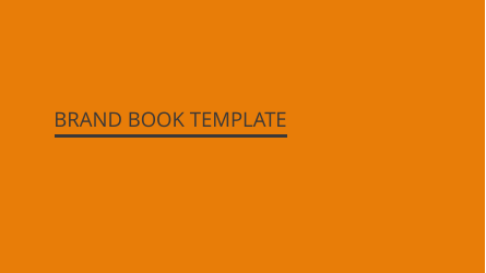 Brand Book Template