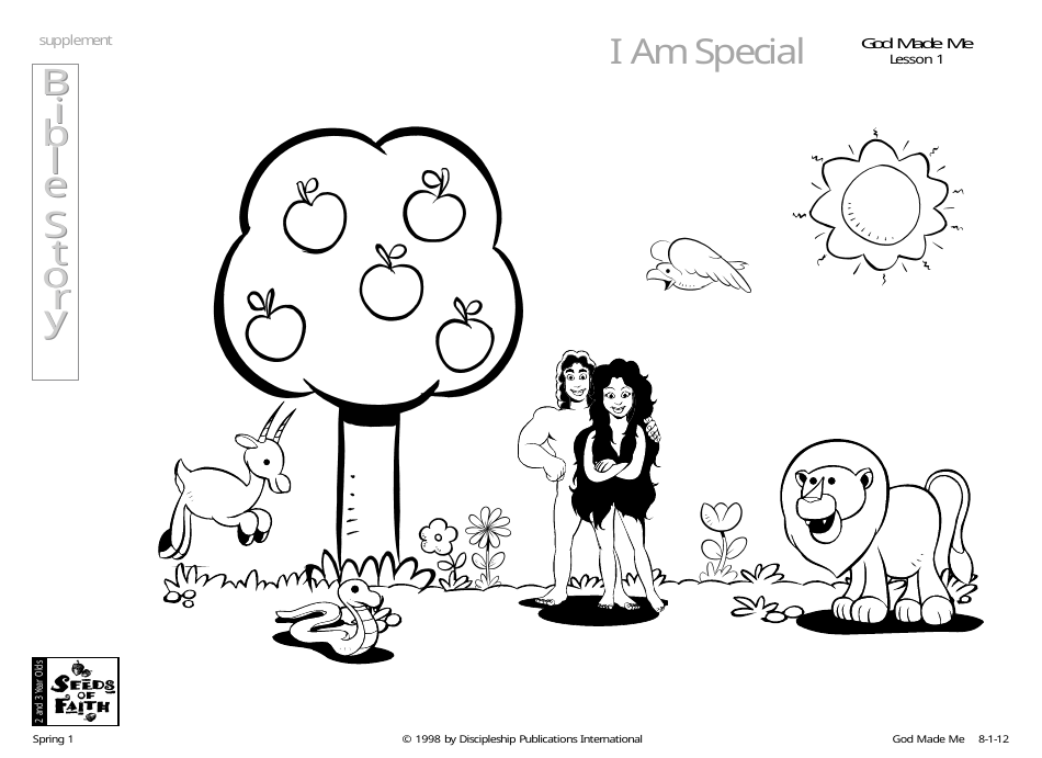 God Made Me Lesson Plan - Discipleship Publications International, Page 12