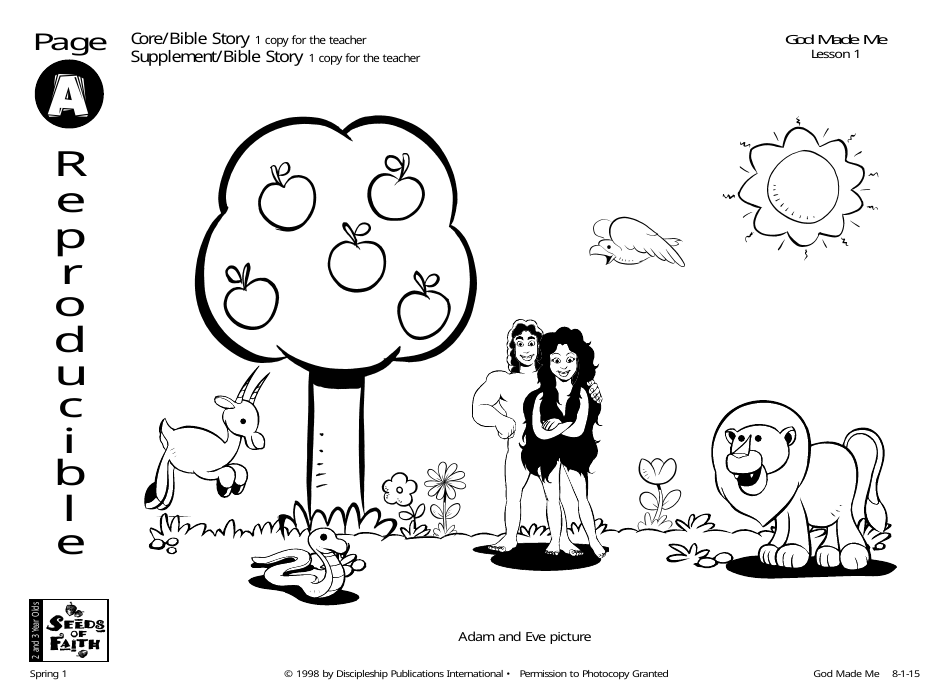 God Made Me Lesson Plan - Discipleship Publications International, Page 15