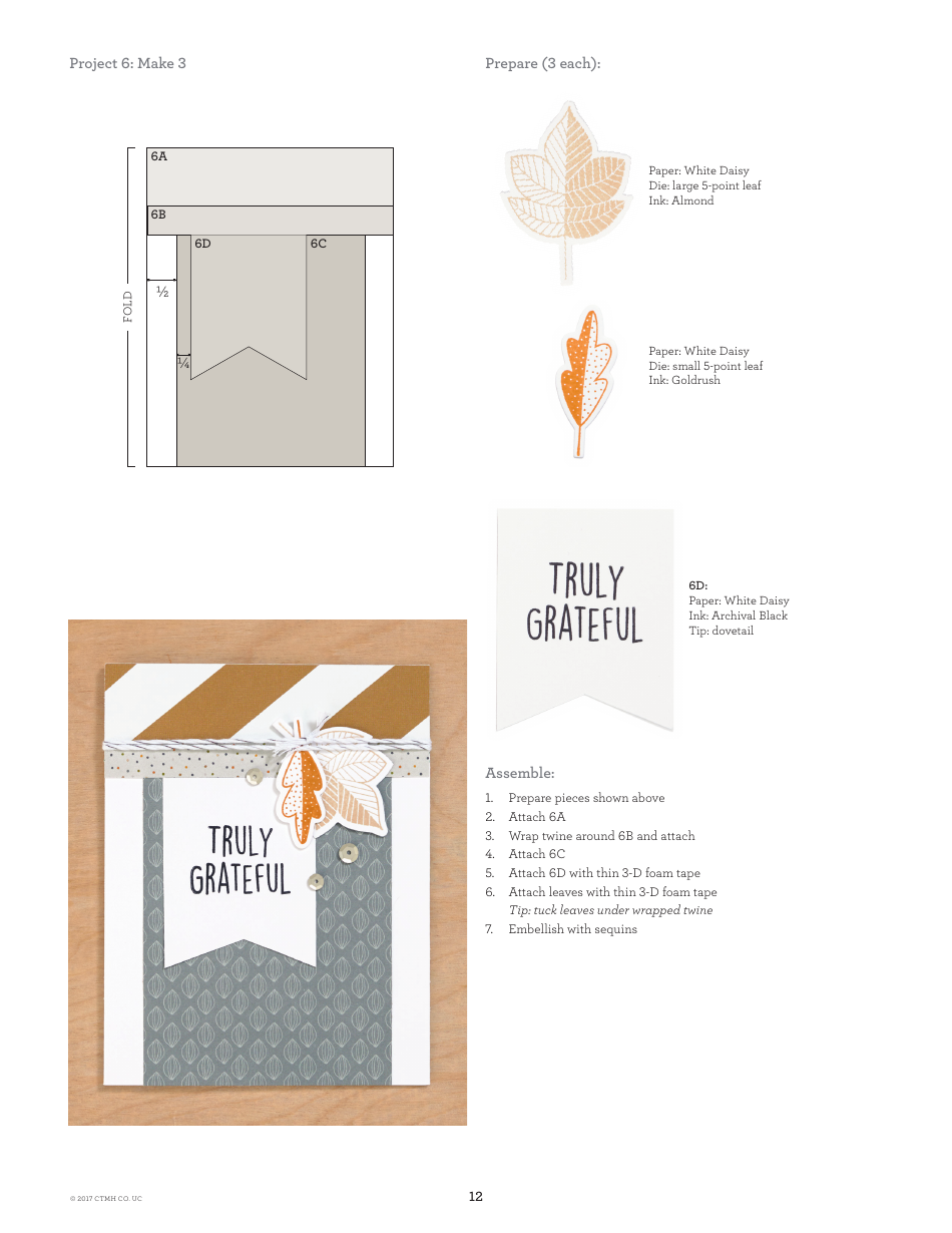 Falling for You Scrapbooking Pattern - Ctmh Co, Page 12