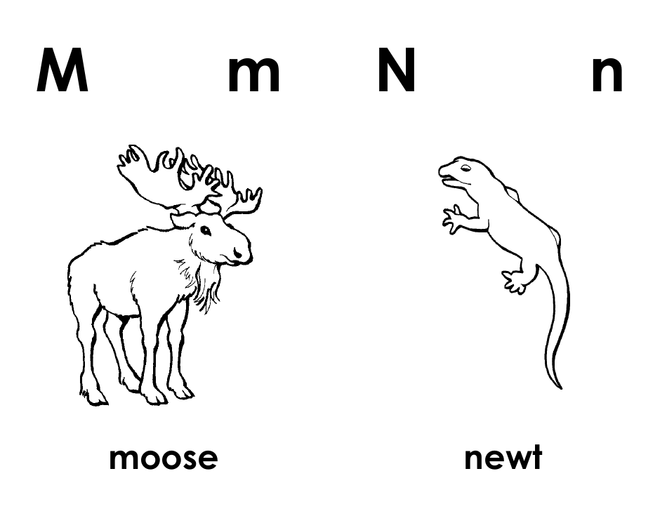 Abc Book Card Templates, Page 8