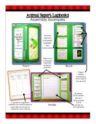 Animal Report Lapbook Templates - Kiki&#039;s Classroom, Page 4