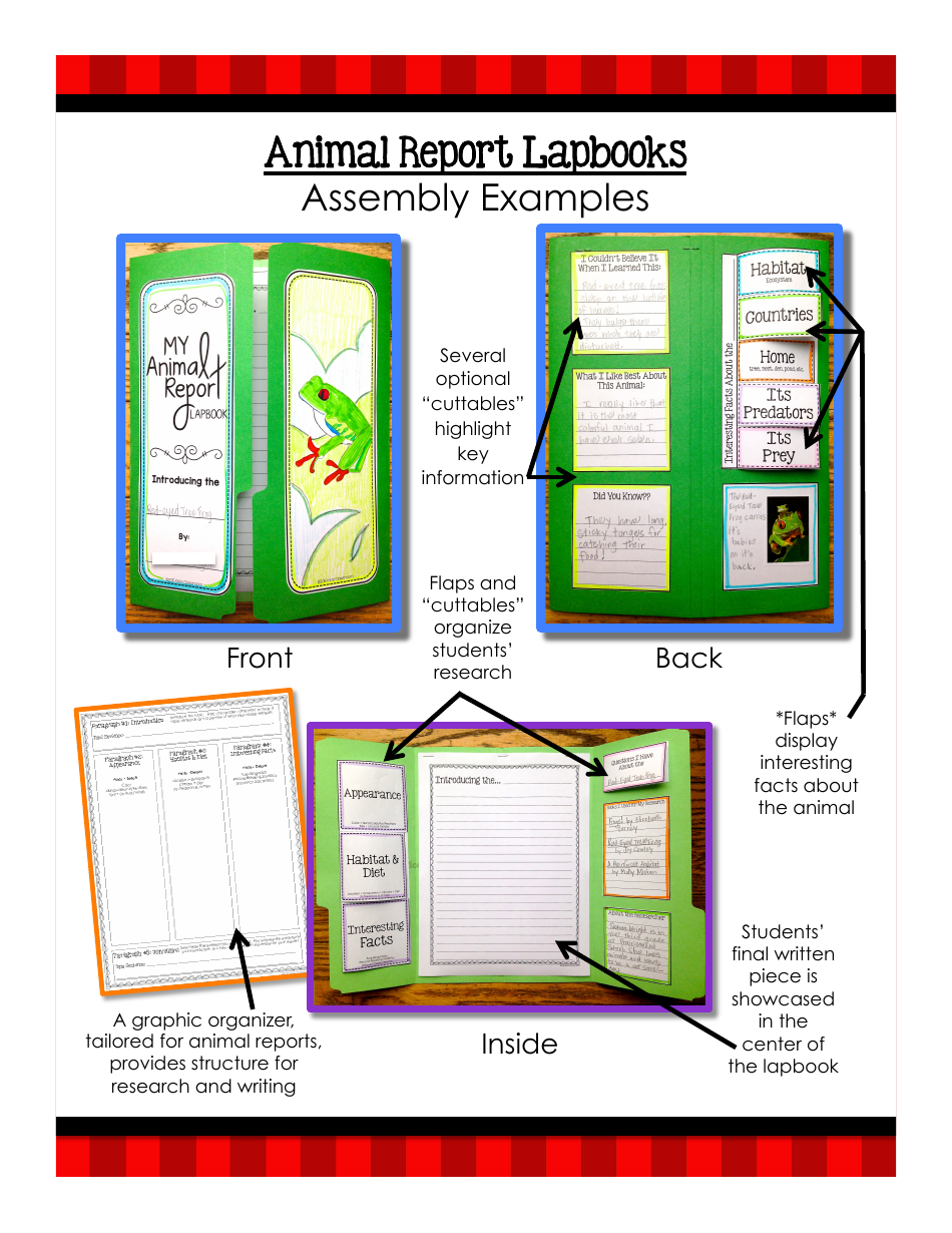 Animal Report Lapbook Templates - Kikis Classroom, Page 4