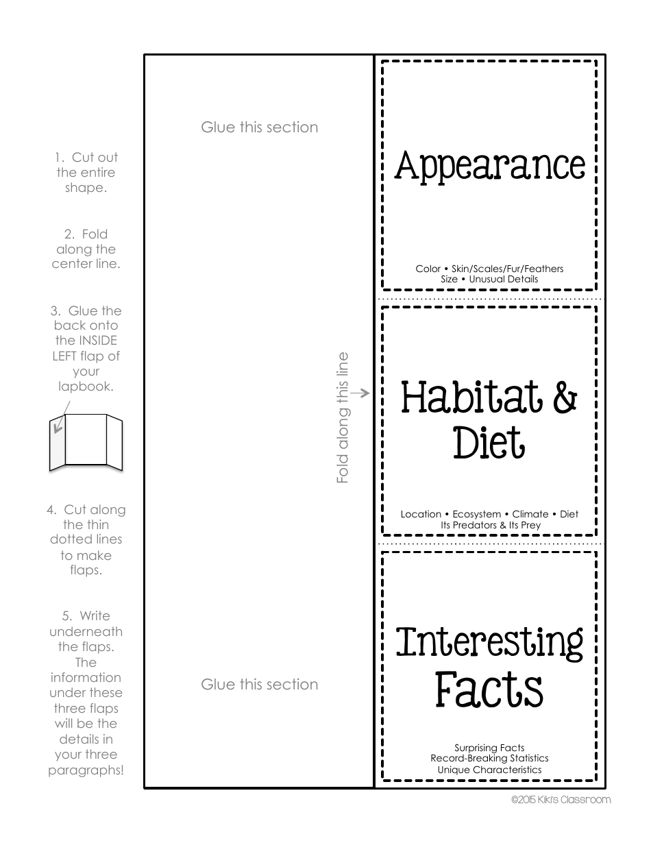 Animal Report Lapbook Templates - Kikis Classroom, Page 8