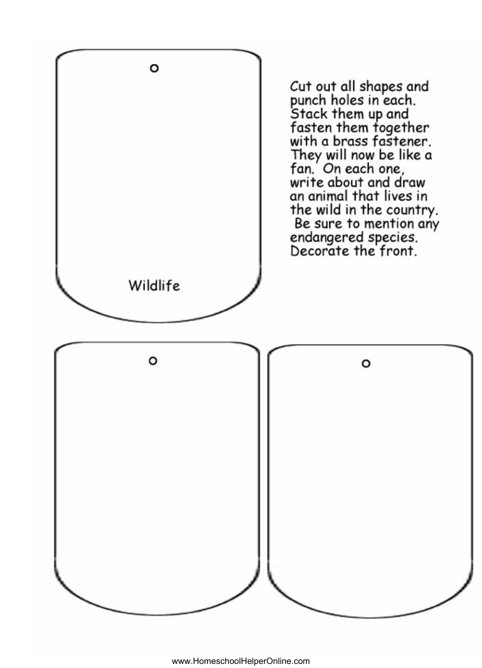 Any Country Lapbook Template, Page 17