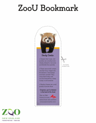 Red Panda Bookmark Templates - Zoou, Page 2