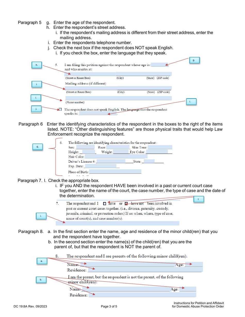 Instructions for Form DC19:8 Petition and Affidavit to Obtain Domestic Abuse Protection Order - Nebraska, Page 3