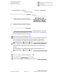 Form DC19:8 Petition and Affidavit to Obtain Domestic Abuse Protection Order - Nebraska