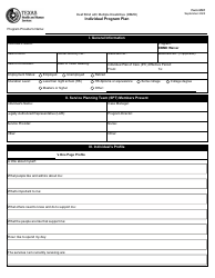 Document preview: Form 6501 Individual Program Plan - Texas