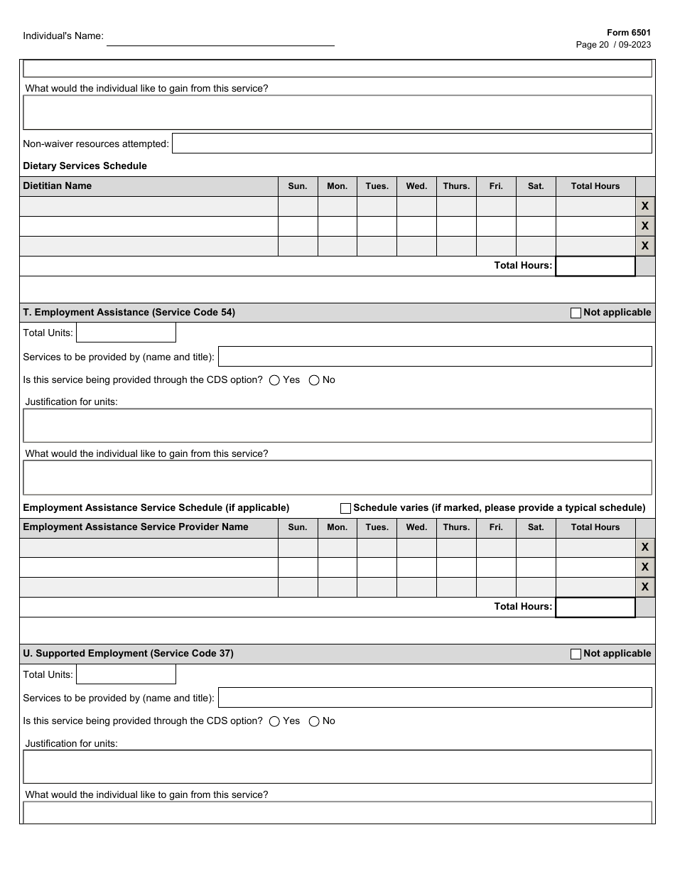 Form 6501 Individual Program Plan - Texas, Page 20