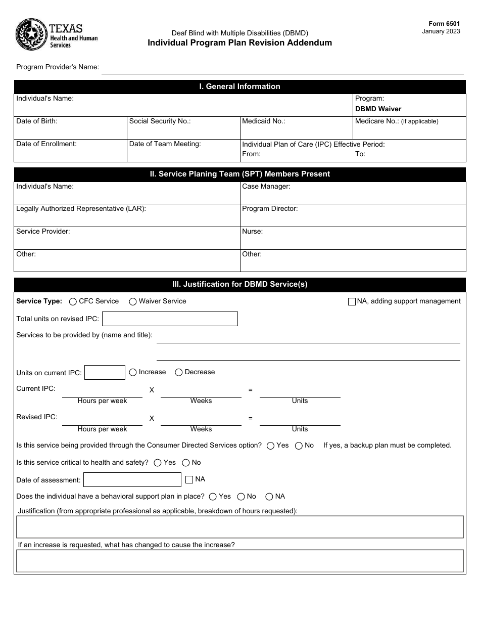 Form 6501 Individual Program Plan - Texas, Page 28