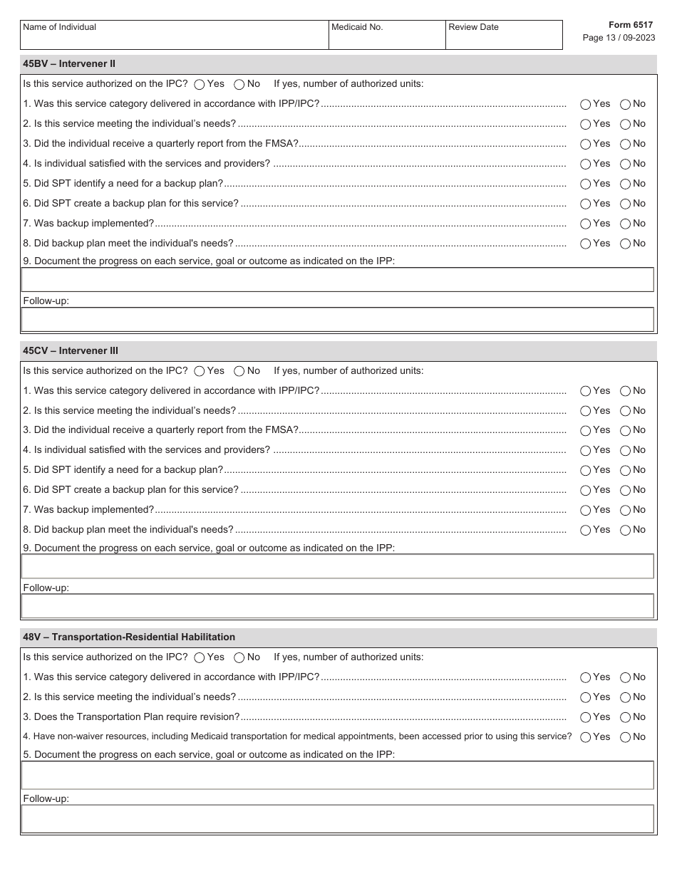 Form 6517 Individual Program Plan (Ipp) Service Review - Texas, Page 13