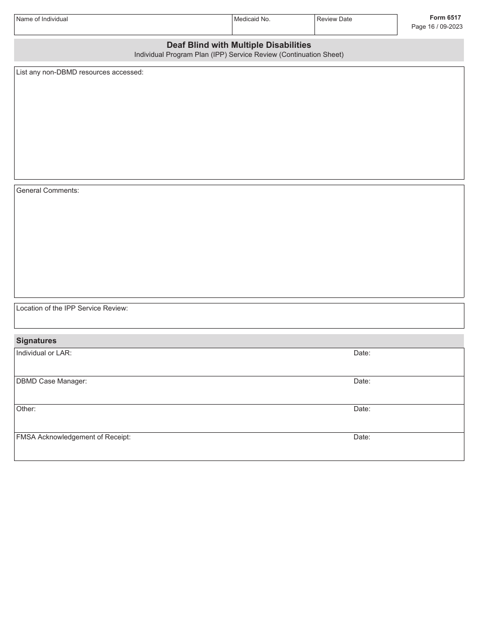 Form 6517 Download Fillable PDF or Fill Online Individual Program Plan ...