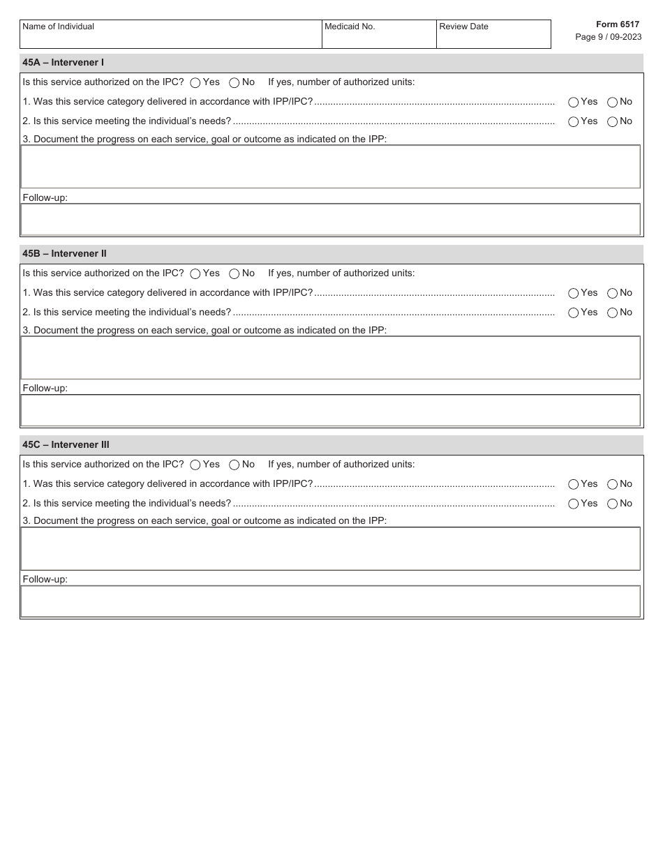 Form 6517 Individual Program Plan (Ipp) Service Review - Texas, Page 9