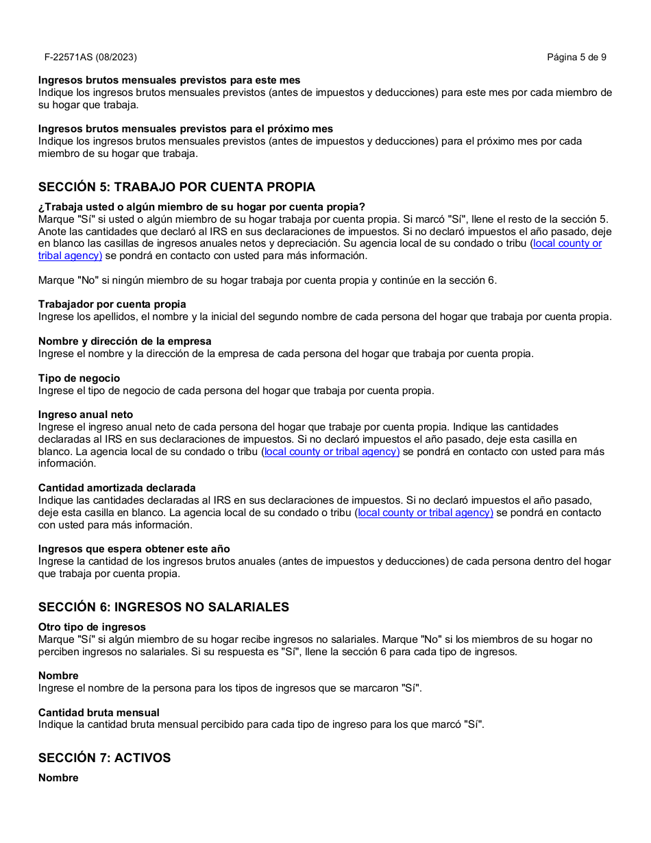 Instrucciones para Formulario F-22571 Caretaker Supplement Application - Wisconsin (Spanish), Page 5