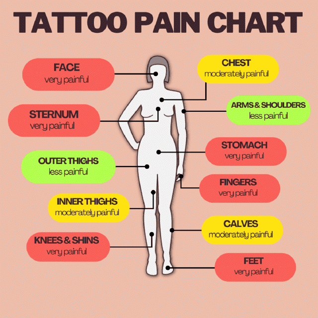 Tattoo Pain Chart - Beige
