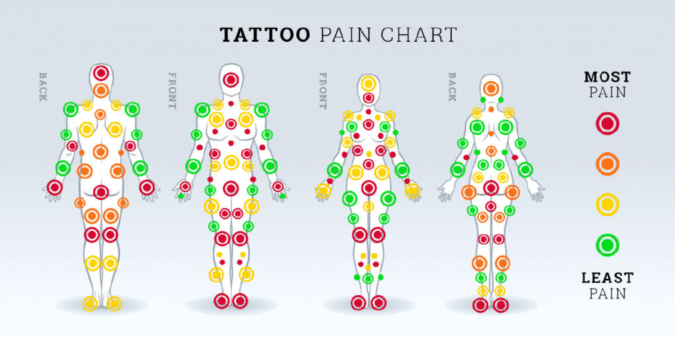 Tattoo Pain Chart - Man and Woman