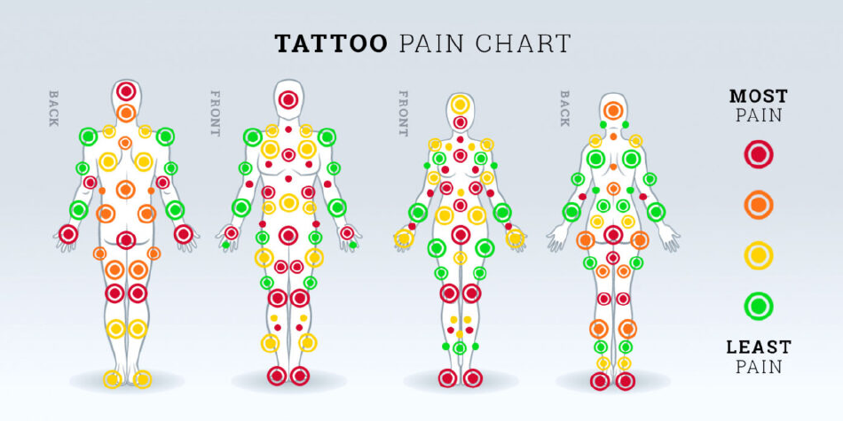 Tattoo Pain Chart - Man and Woman Download Printable PDF | Templateroller