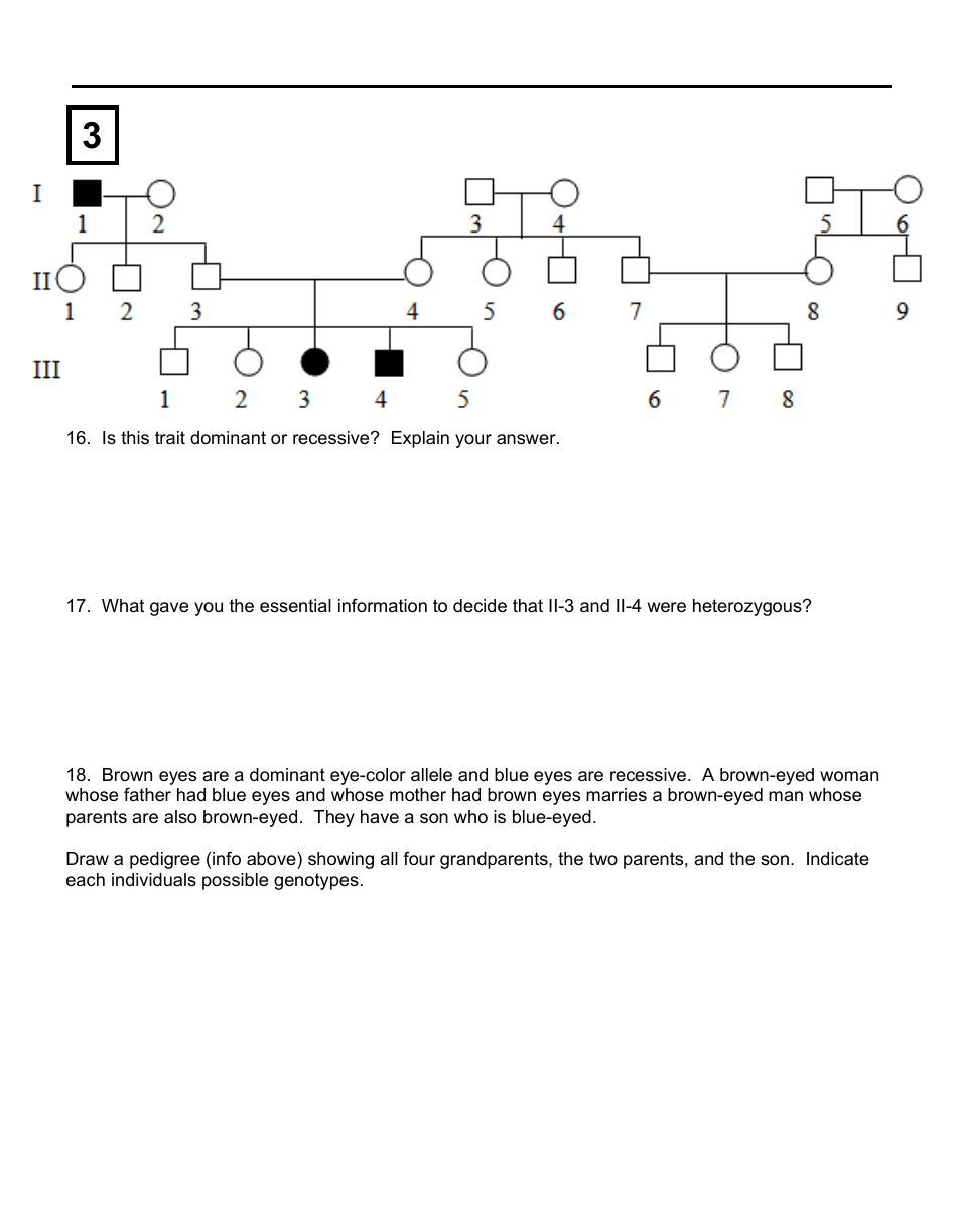 Pedigree Worksheet Template, Page 3