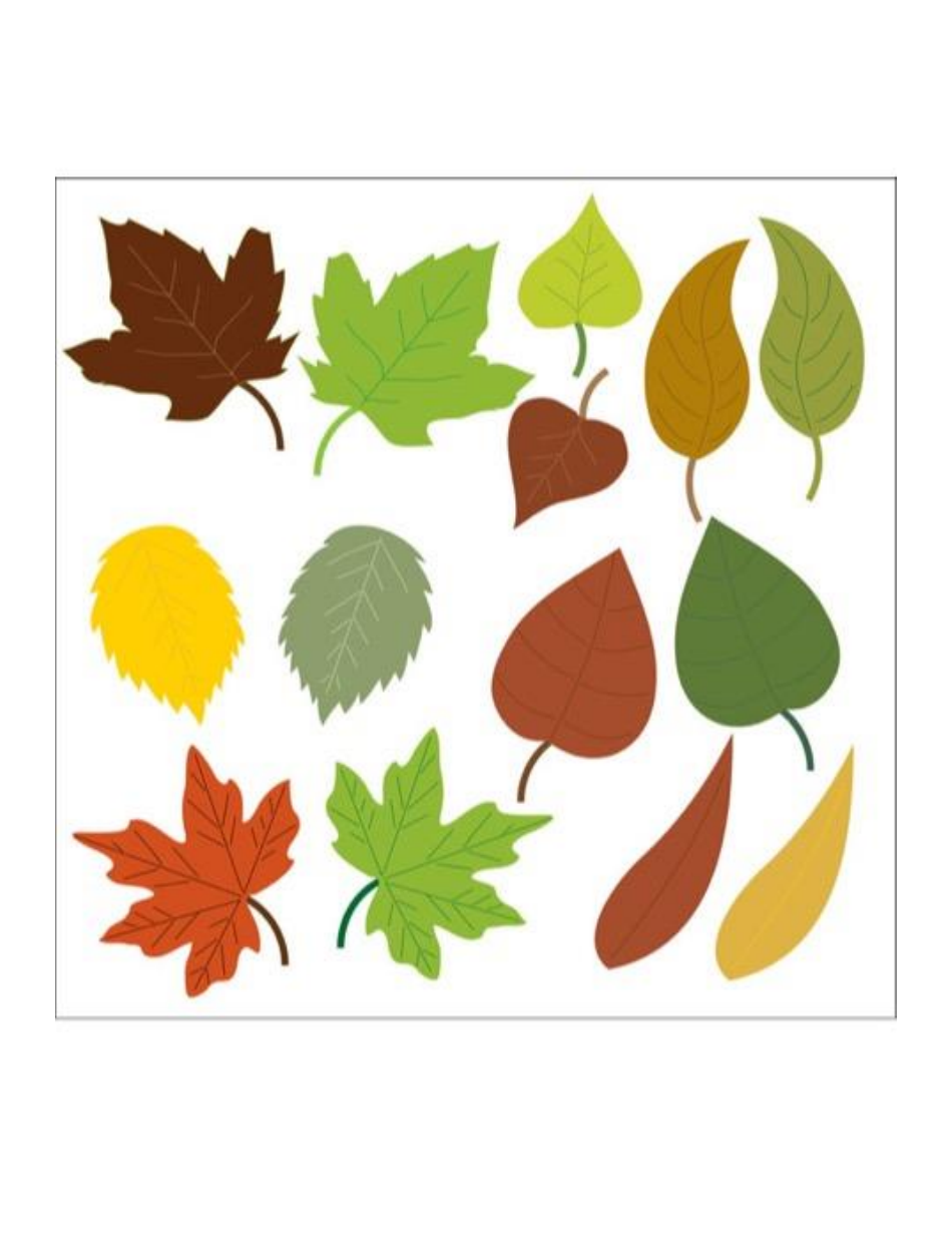 Family Tree Template - Utah State University, Page 3