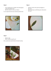 Seed Pod Gift Card Template, Page 4