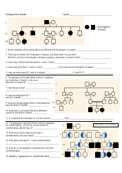 Document preview: Genetics Pedigree Worksheet With Answers