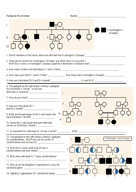 Genetics Pedigree Worksheet With Answers Preview Image